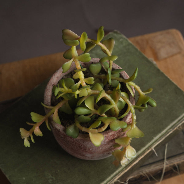 Mini Potted succulent - Artificial Green