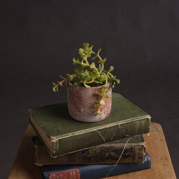 Mini Potted Succulent - Artificial Green