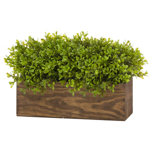 Rustic Topiary Box - Artificial Green