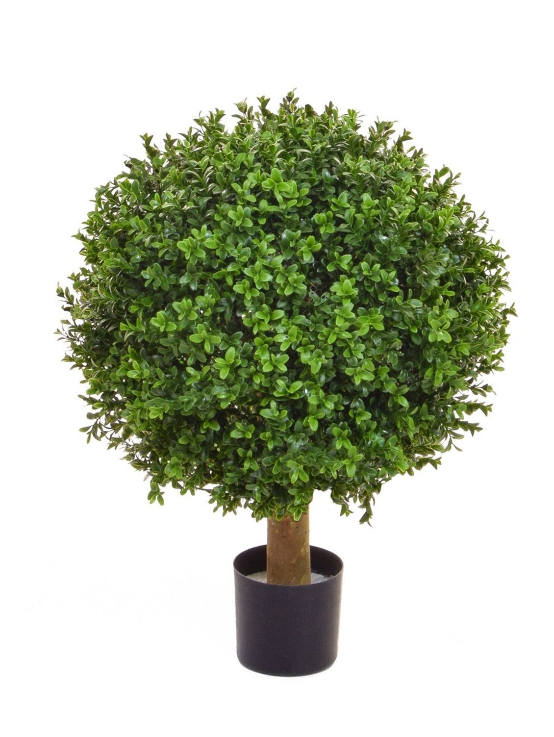 40cm Artificial Potted Buxus Ball on Stem