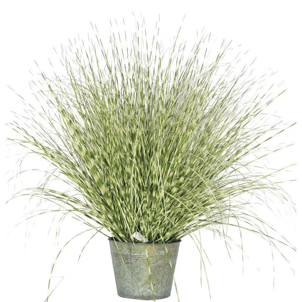 Fire Retardant Zebra Grass Potted 50cm - Artificial Green