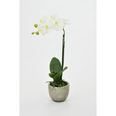 Luxury Artificial Potted White Orchid 