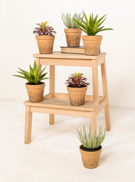 Set of 6 artificial succulents in pots for restaurant and bar tables
