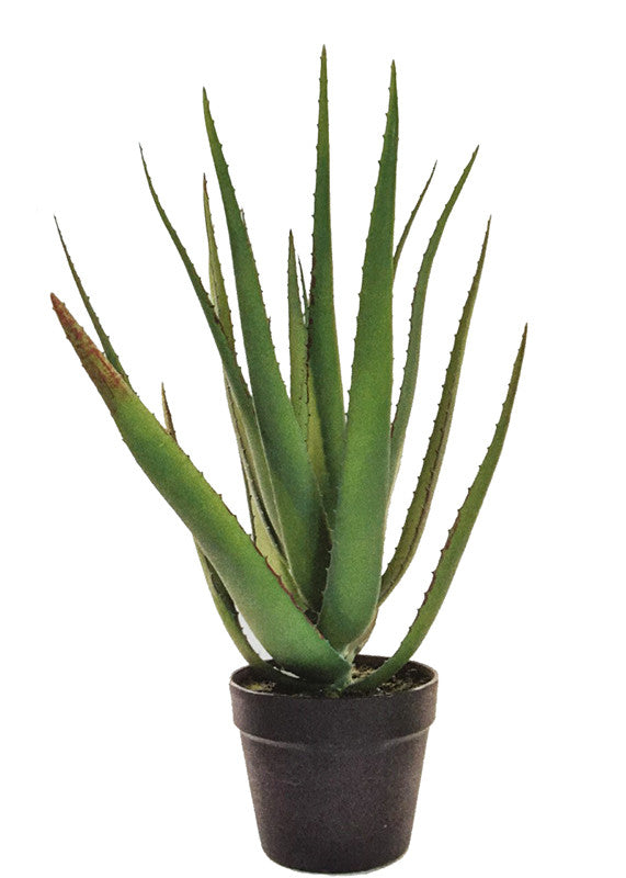 Faux Aloe Vera Plant by Artificial Green