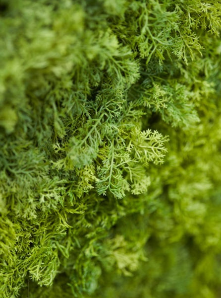 Artificial moss wall panels for indoor and outdoor use