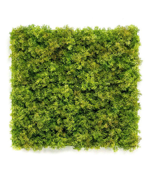 Artificial UV Green Reindeer Moss Panels 25cm x 25cm