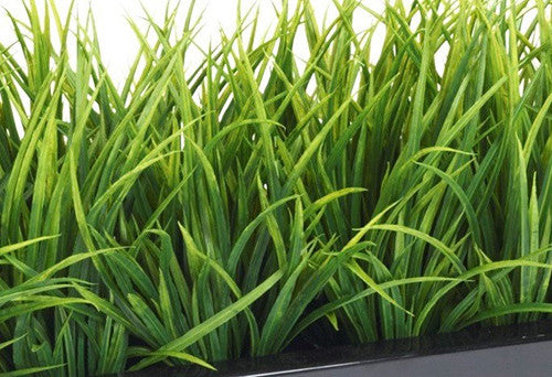 Grass Bush In Trough Planter Premium Outdoor Quality
