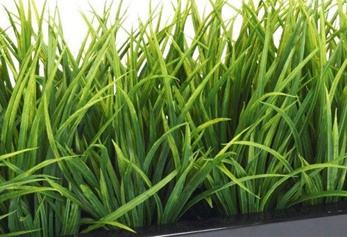 Artificial Grass In Planter