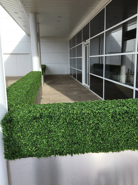 Artificial boxwood hedge