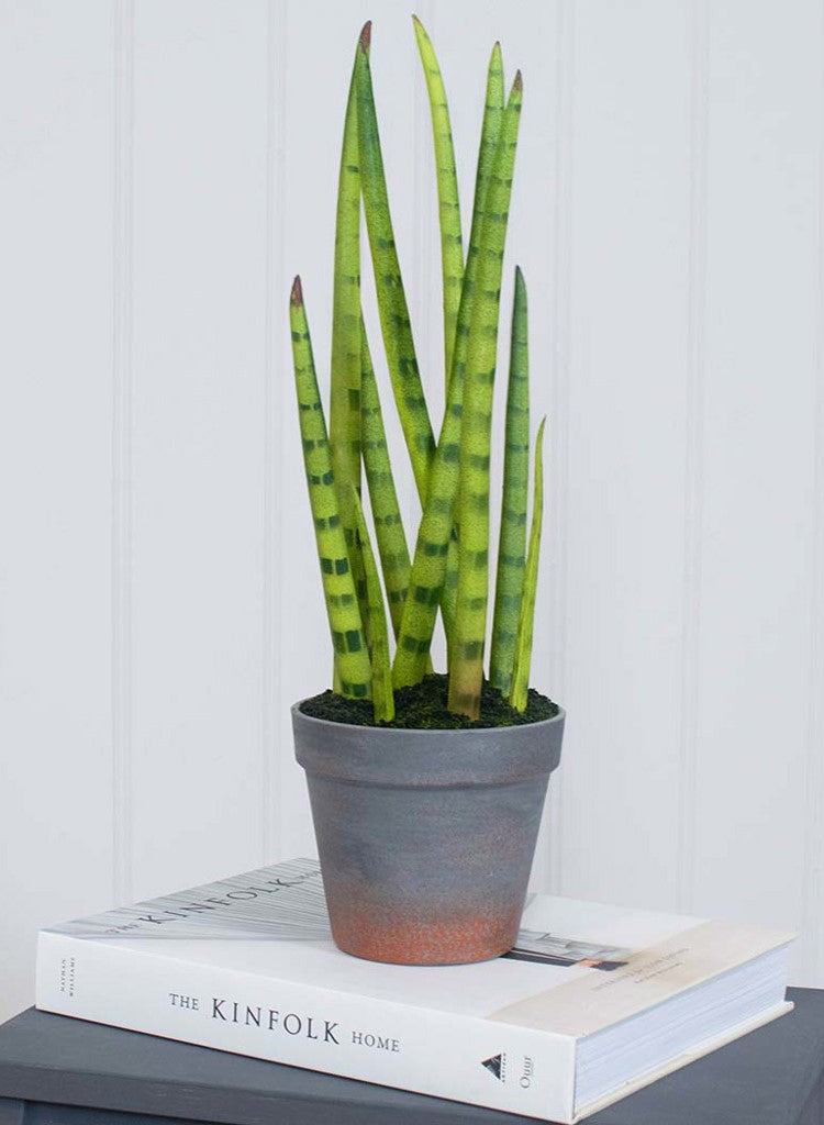 Artificial Plants Indoor Potted Sansevieria 42cm