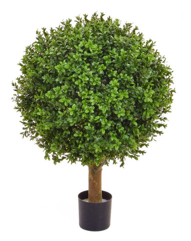 Artificial Boxwood Ball On Stem 50cm - Outdoor Use