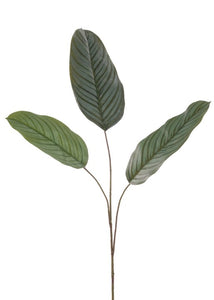 Artificial Tropical Calathea Leaves Stem
