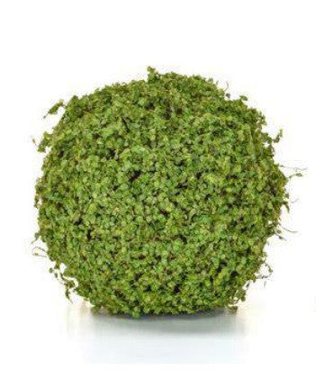 Decorative Artificial Moss Balls - Moss Topiary