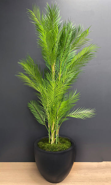Parlour Palm In Natural Black FIbrestone Planter 150cm - Artificial Green
