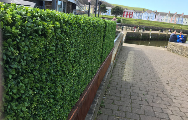 High Quality Artificial Boxwood Hedges - Artificial Green