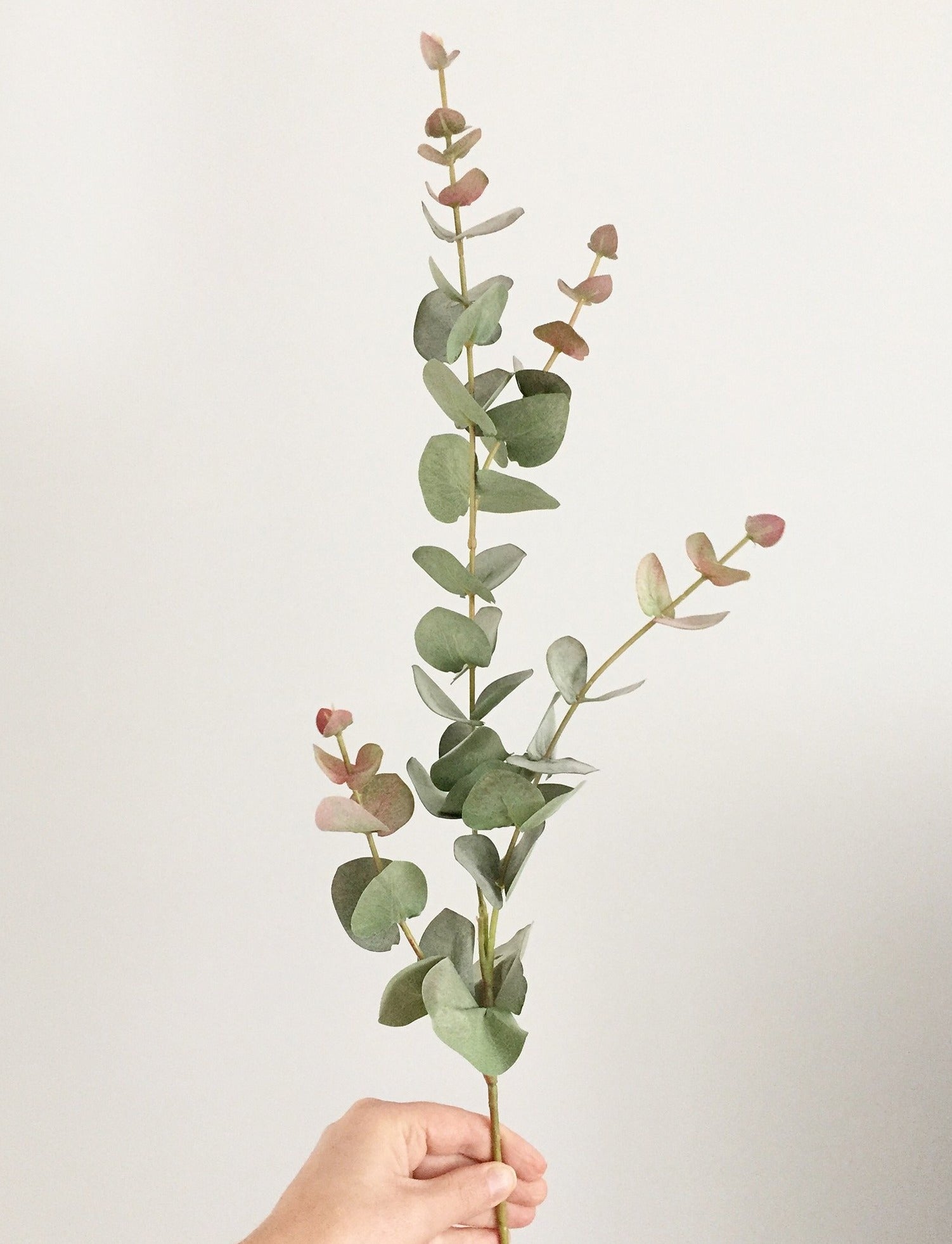 Faux Eucalyptus Stem by Artificial Green