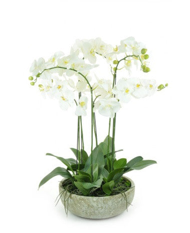 Luxury Faux Orchids - Exquisite Potted arrangement
