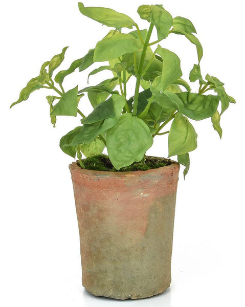 Faux potted basil plant - Herb pot from Artificial Green