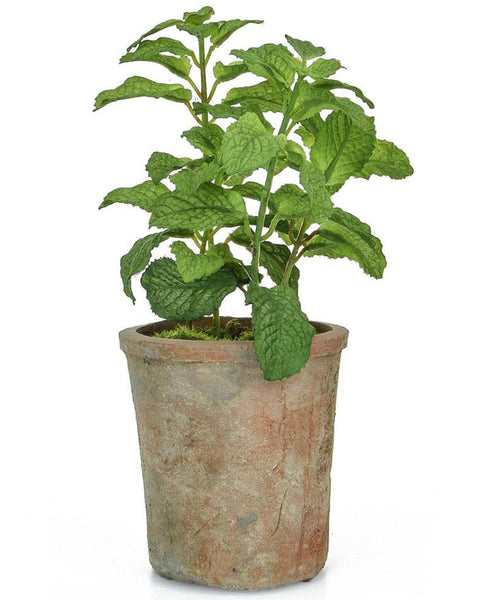 Faux mint plant - potted herbs from Artificial Green