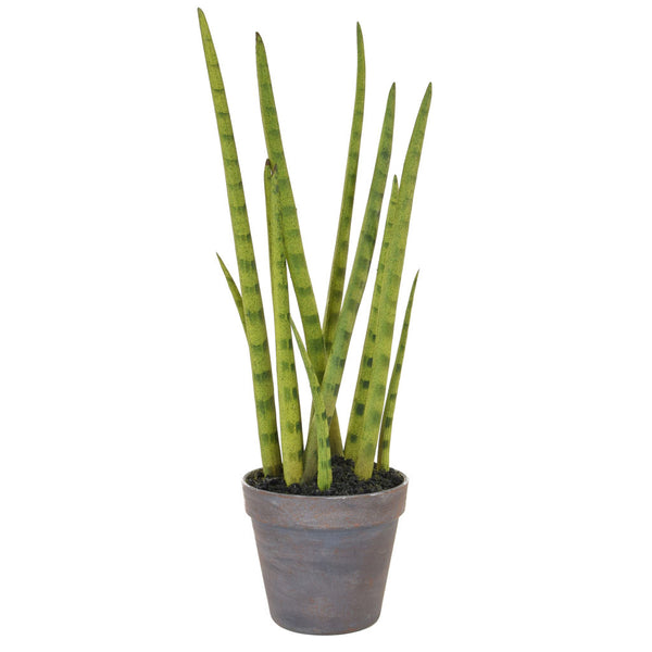 Faux Striped Sansevieria 42cm - Artificial Green