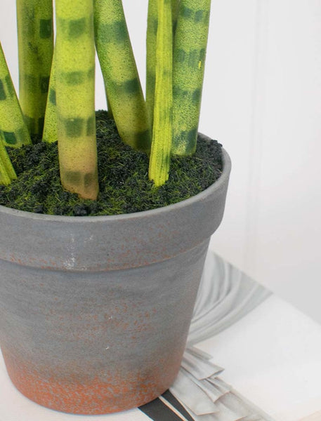 Faux Striped Sansevieria 42cm - Artificial Green