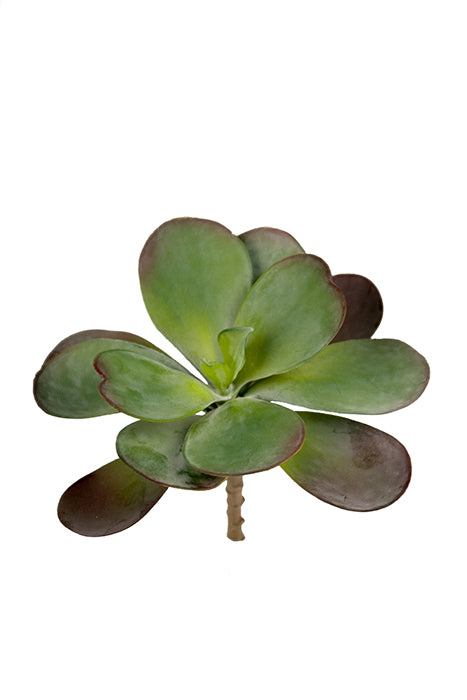 Realistic Faux Succulent Plant