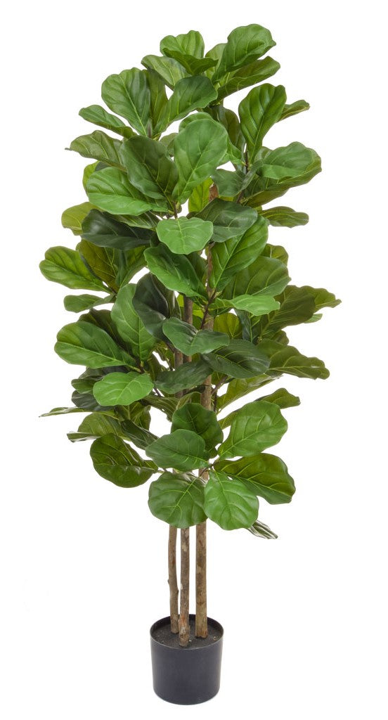 Faux Fiddle Leaf Fig Tree 180cm Artificial Green