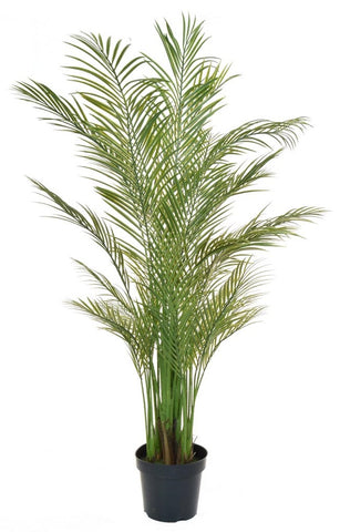 Artificial Areca Palm Tree UV Outdoor and Fire Retardant 
