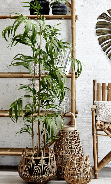 Flora Luxury Artificial Bamboo Tree