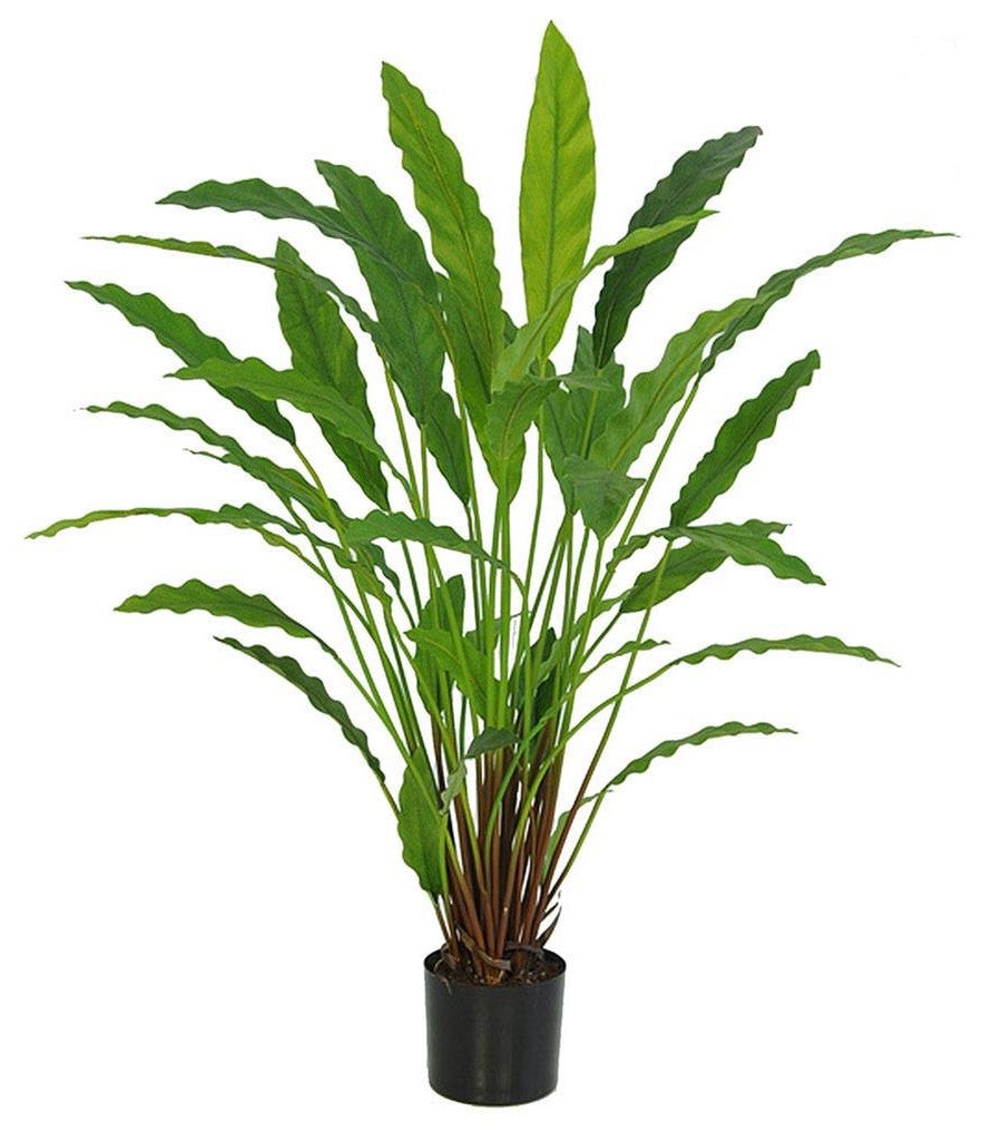 Faux Green Calathea Plant 