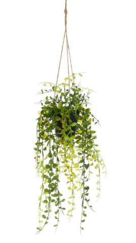 Artificial Trailing Succulent in Hanging Pot 65cm