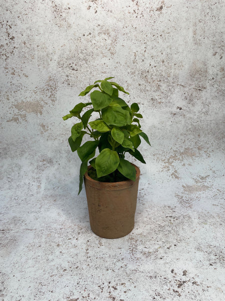 Artificial Basil Plant in Rustic Terracotta Pot 28cm