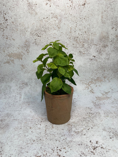 Faux Basil Plant in Rustic Pot 28cm