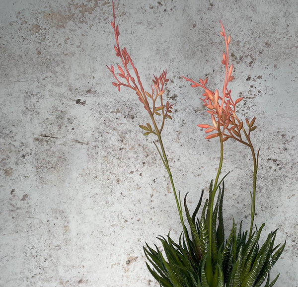 Faux Aloe Arrangement in Beige Pot 37cm