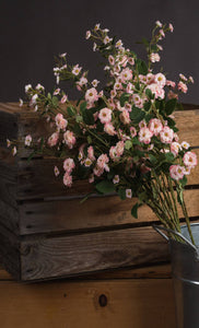 Faux Pink Meadow Rose Stems with mini flowers and greenery