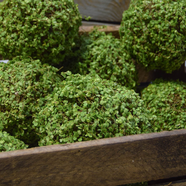 Faux Topiary Moss Balls