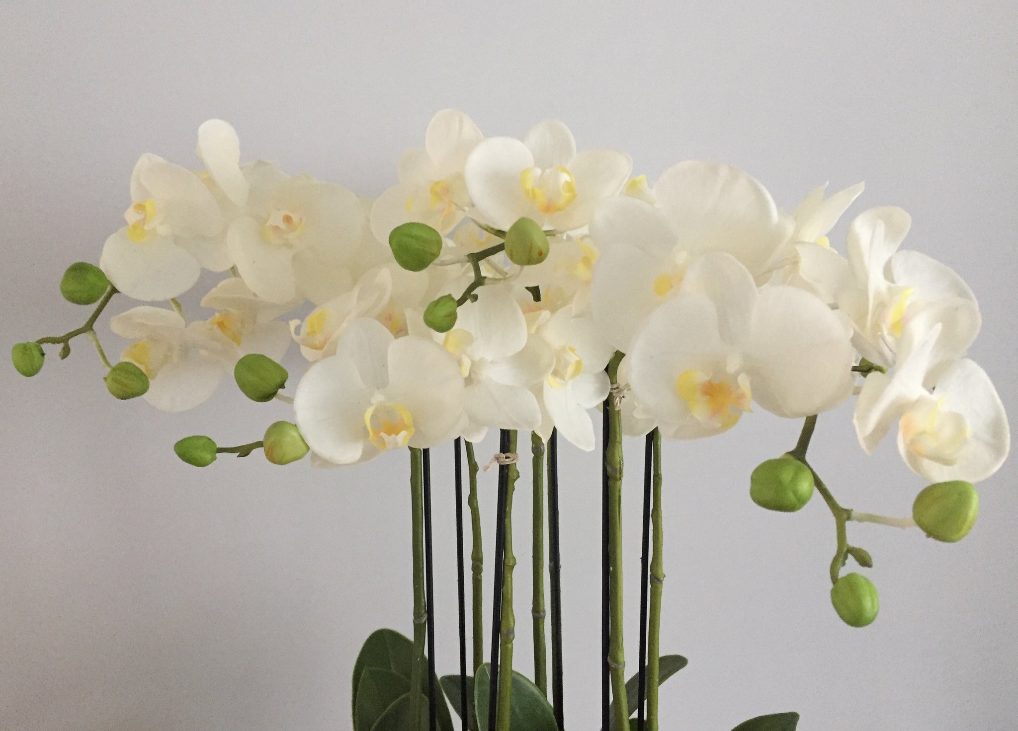 Luxury Large Artificial Orchid Arrangement In Pot White Flowers