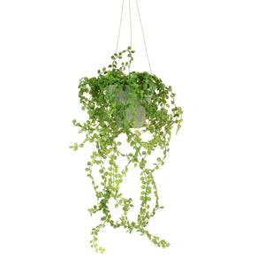Faux Hanging Button Leaf Plant - Artificial Green