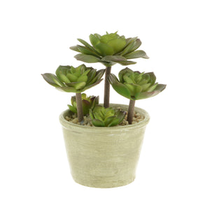 Rustic Succulent Mix 19cm - Artificial Green