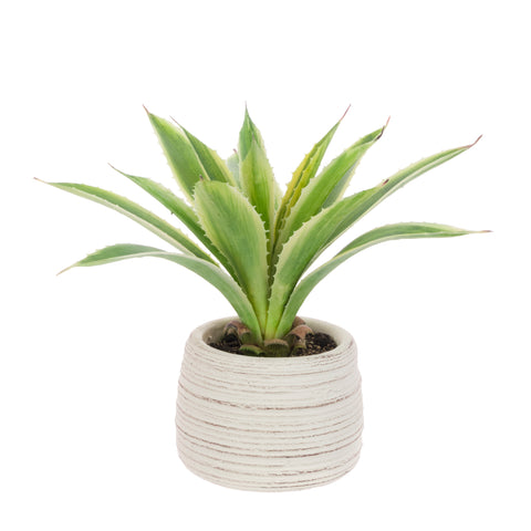Faux Agave In Ceramic Pot - Artificial Green