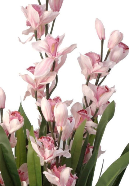 Artificial House Plants - Cymbidium Orchid in Pink