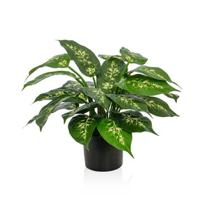 Potted Dieffenbachia Plant - Fire Retardant - Artificial Green