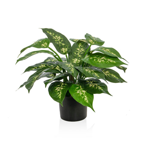 Potted Dieffenbachia Plant - Fire Retardant - Artificial Green