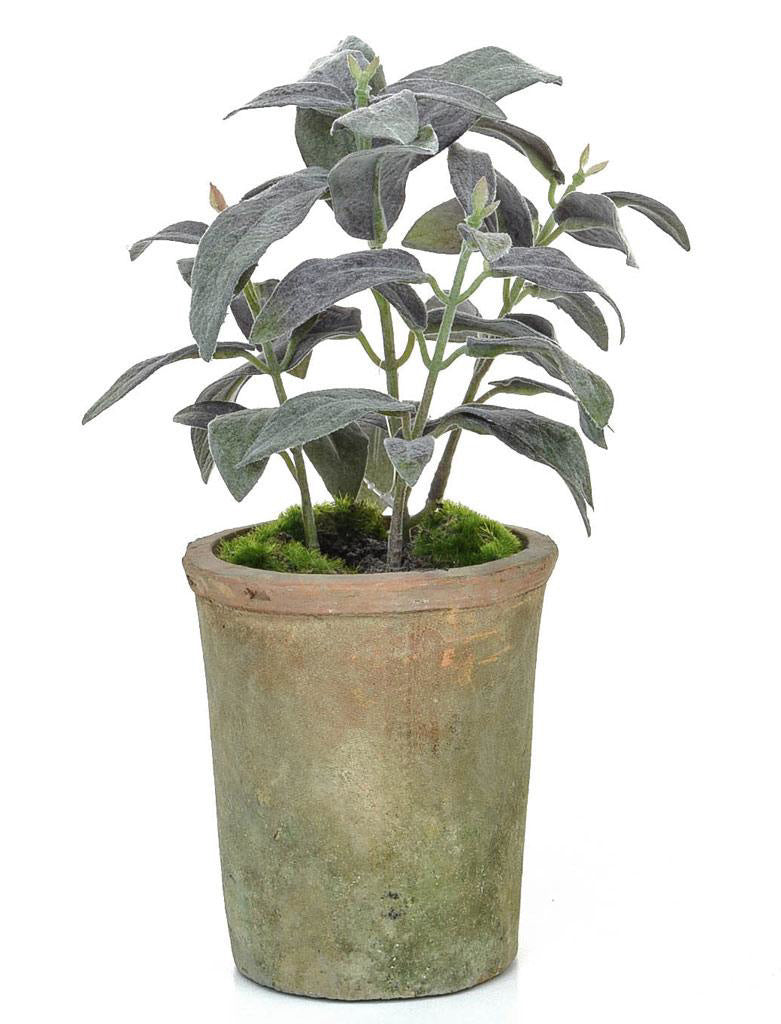 Artificial Kitchen Herbs, Sage in Rustic Pot