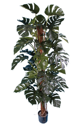 Large artificial Monstera cheese plant on a moss pole