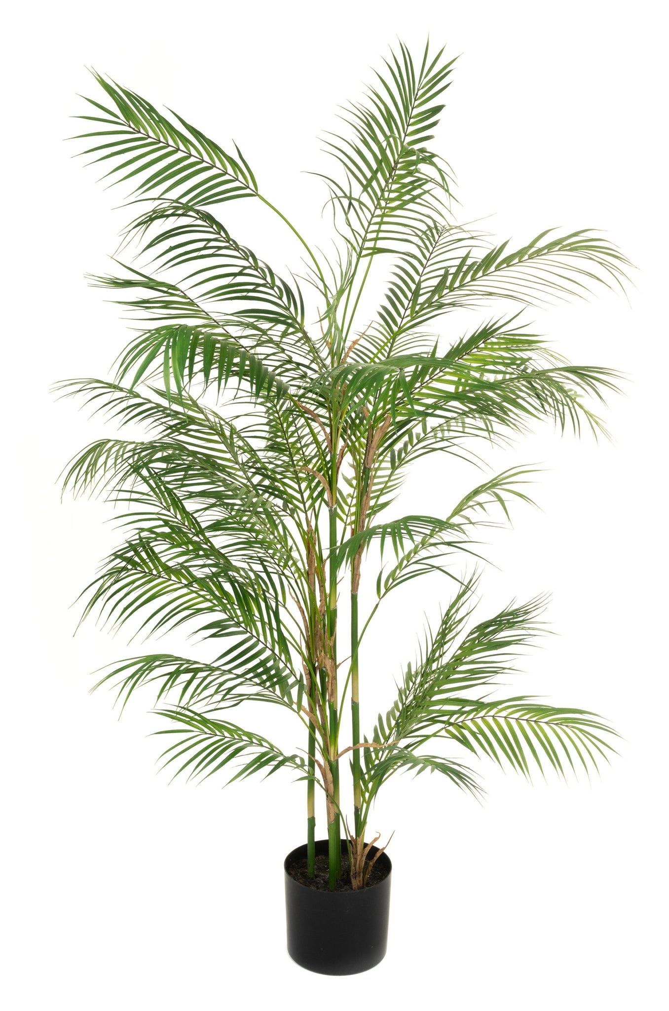150cm Realistic Deluxe Parlour Palm Tree - Artificial Green