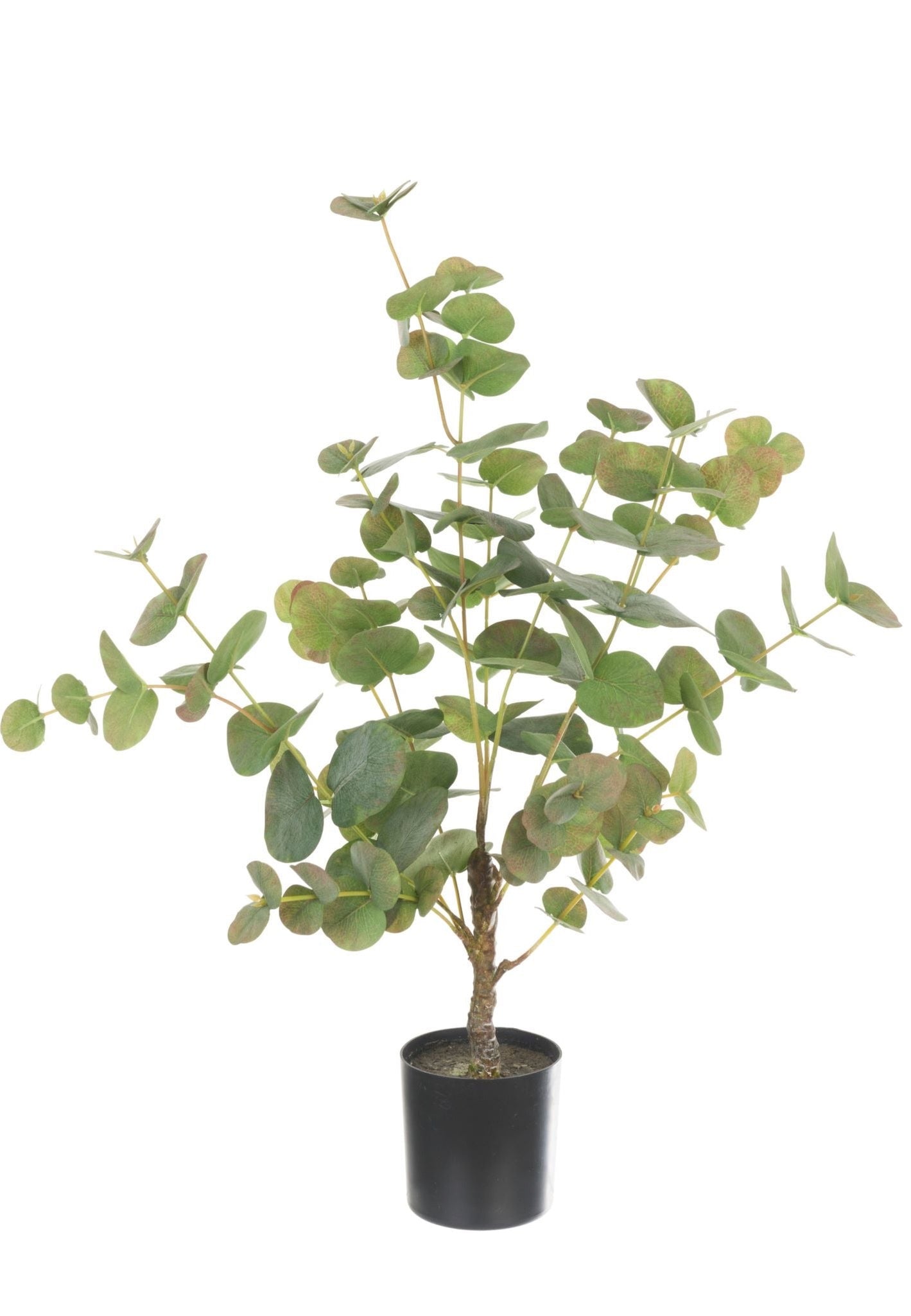 Eucalyptus Tree Potted 64cm - Artificial Green