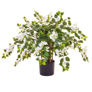 Flowering White Bougainvillea Tree - Artificial Green