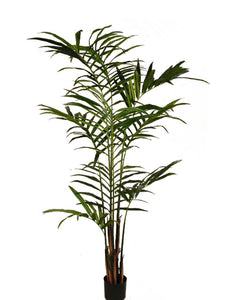 Large Artificial Kentia Palm Tree 210cm