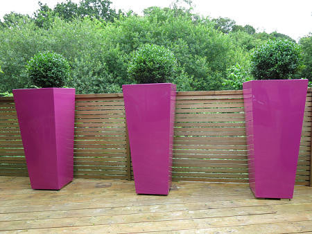 Pink Planters